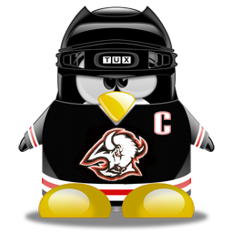 penguin pingouin pinguino 772
